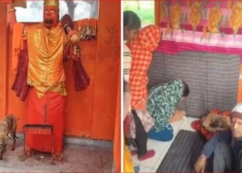 The dog circled the temple for five days.