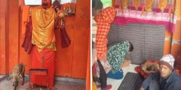 The dog circled the temple for five days.