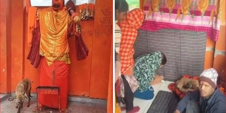 The dog circled the temple for five days.