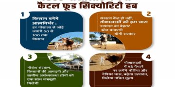 7500 cow shelters to become cattle food security hubs
