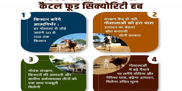 7500 cow shelters to become cattle food security hubs