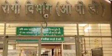 A cat gave birth to three kittens in the OPD.