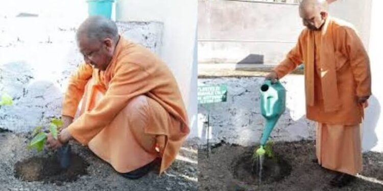 CM Yogi planted a tree at Guru Gorakhnath College.