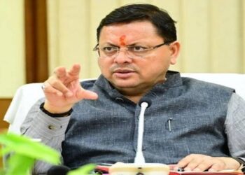 CM Dhami