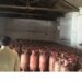 Jail instructions on involvement of gas agency owner
