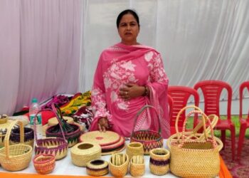 Munj craft changed Rajni Bala's world