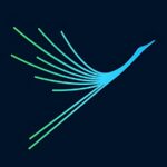 Soaring Sarus: Defining the identity of Noida International Airport