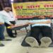Blood Donation
