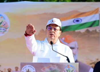 cm dhami