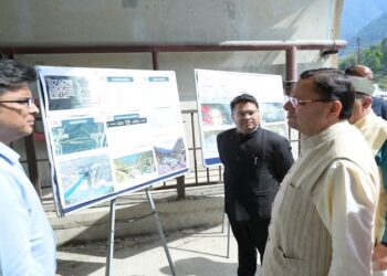 CM Dhami