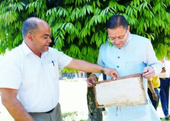 CM Dhami