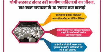 mushroom production