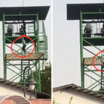 Teen dies after falling from zip lining ride