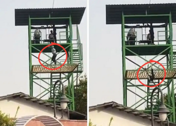 Teen dies after falling from zip lining ride