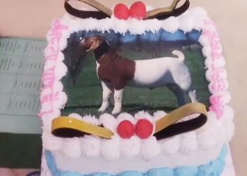 Bakrid
