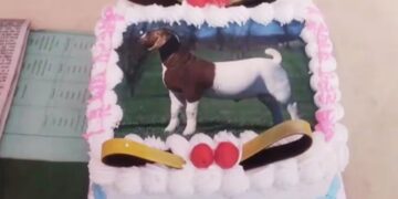 Bakrid