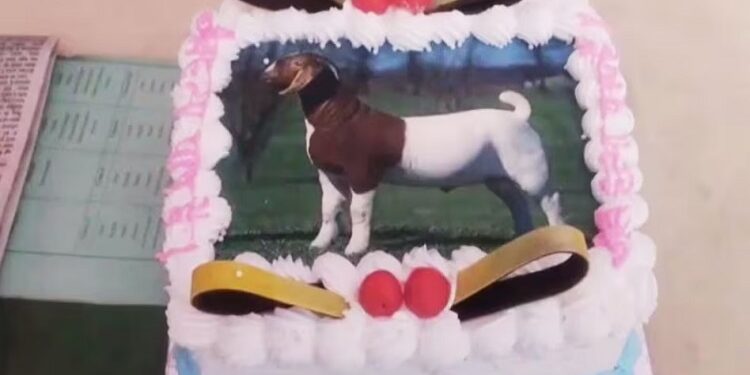 Bakrid