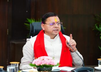 cm dhami