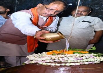 CM Vishnudev Sai