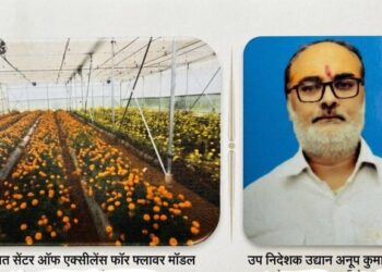'Centre of Excellence for Flowers