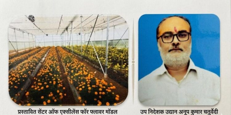 'Centre of Excellence for Flowers