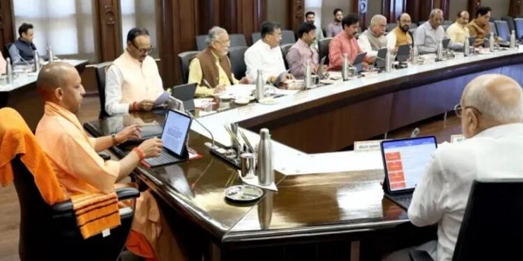 Yogi Cabinet