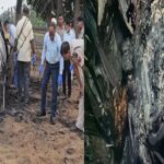 Former BJP district panchayat vice president burnt alive in car