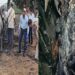 Former BJP district panchayat vice president burnt alive in car