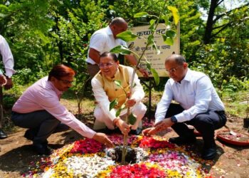 CM Dhami