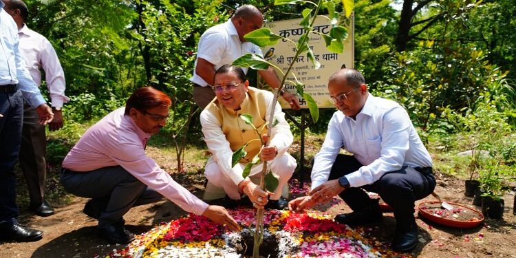 CM Dhami