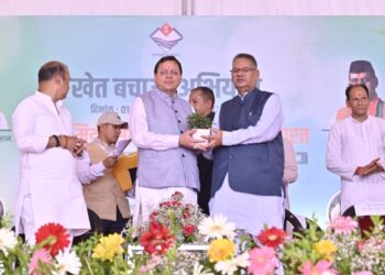 CM Dhami
