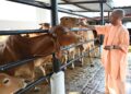 CM Yogi