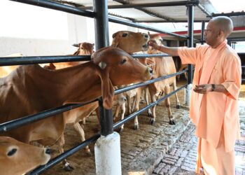 CM Yogi