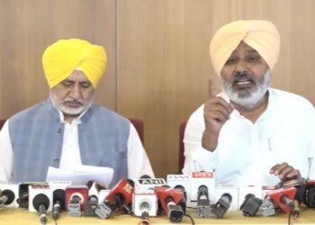 CM Bhagwant Mann is not in the controversial video