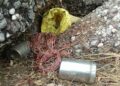 3 tiffin IEDs recovered during search operation