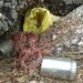 3 tiffin IEDs recovered during search operation