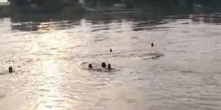 A boat carrying farmers capsized in the Kosi river.