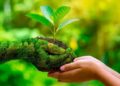 World Environment Day