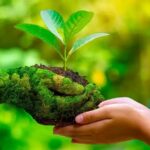 World Environment Day