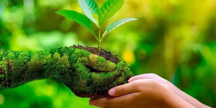 World Environment Day