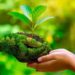 World Environment Day