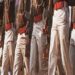 Recruitment for the post of Company Commander in Bihar