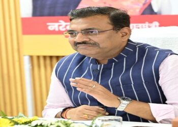 Anand Bardhan