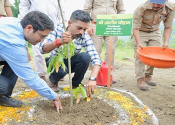 Ashish Chauhan planted trees