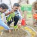 Ashish Chauhan planted trees