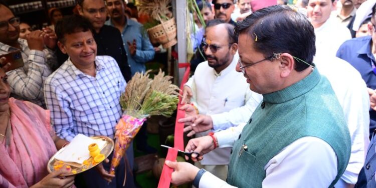 CM Dhami