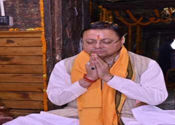 cm dhami