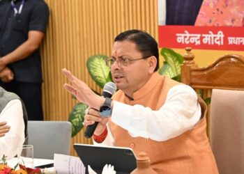 cm dhami