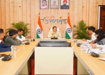 CM Dhami