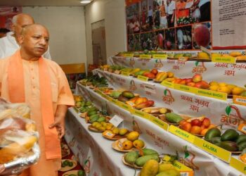 CM Yogi will inaugurate the Mango Festival